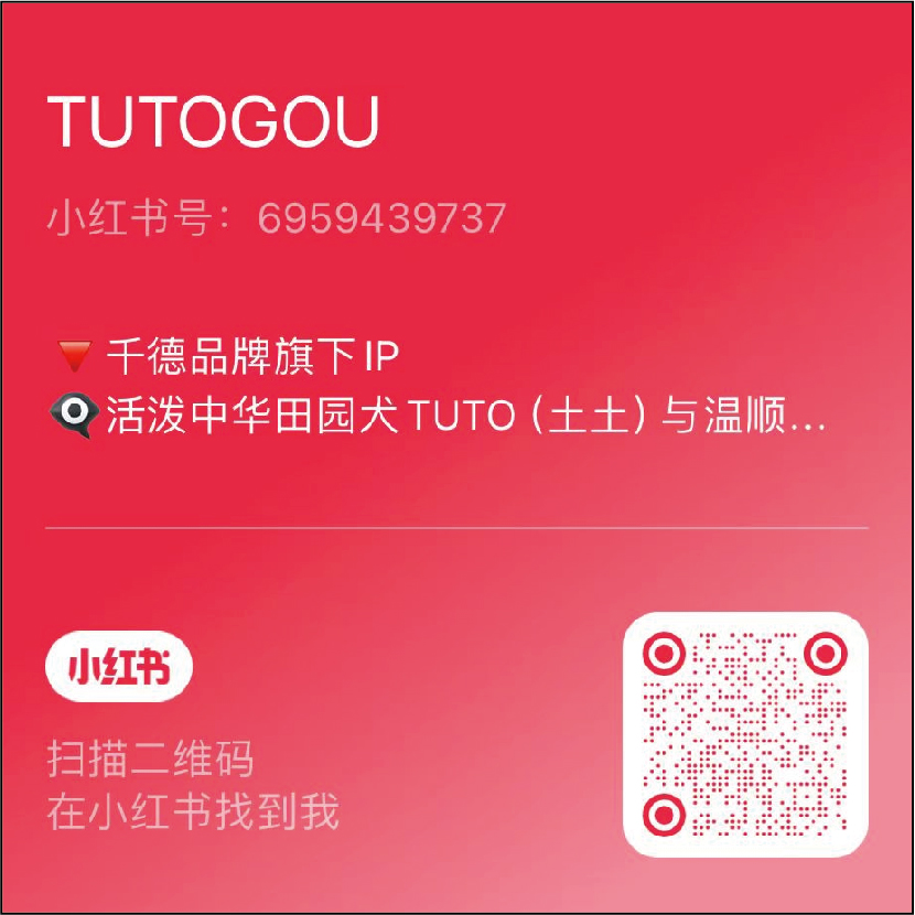 描述
