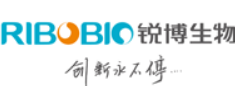 锐博制药是广州锐博生物技术有限公司（锐博生物）旗下专注于提供核酸药物开发与生产CDMO/CMC服务的业务部门。服务满足全球客户从早期发现到临床研发直至商业化、符合国际标准的寡核酸原料药cGMP/GMP生产需求。 – 按照美国、欧盟和中国cGMP规范要求设计和建设的临床原料药生产设施及厂房– 已获得国内首个CFDA颁发的寡核酸原料药生产许可证，并通过多个制药合作伙伴的协查审计– 提供定制化灵活的寡核酸cGMP原料药生产服务