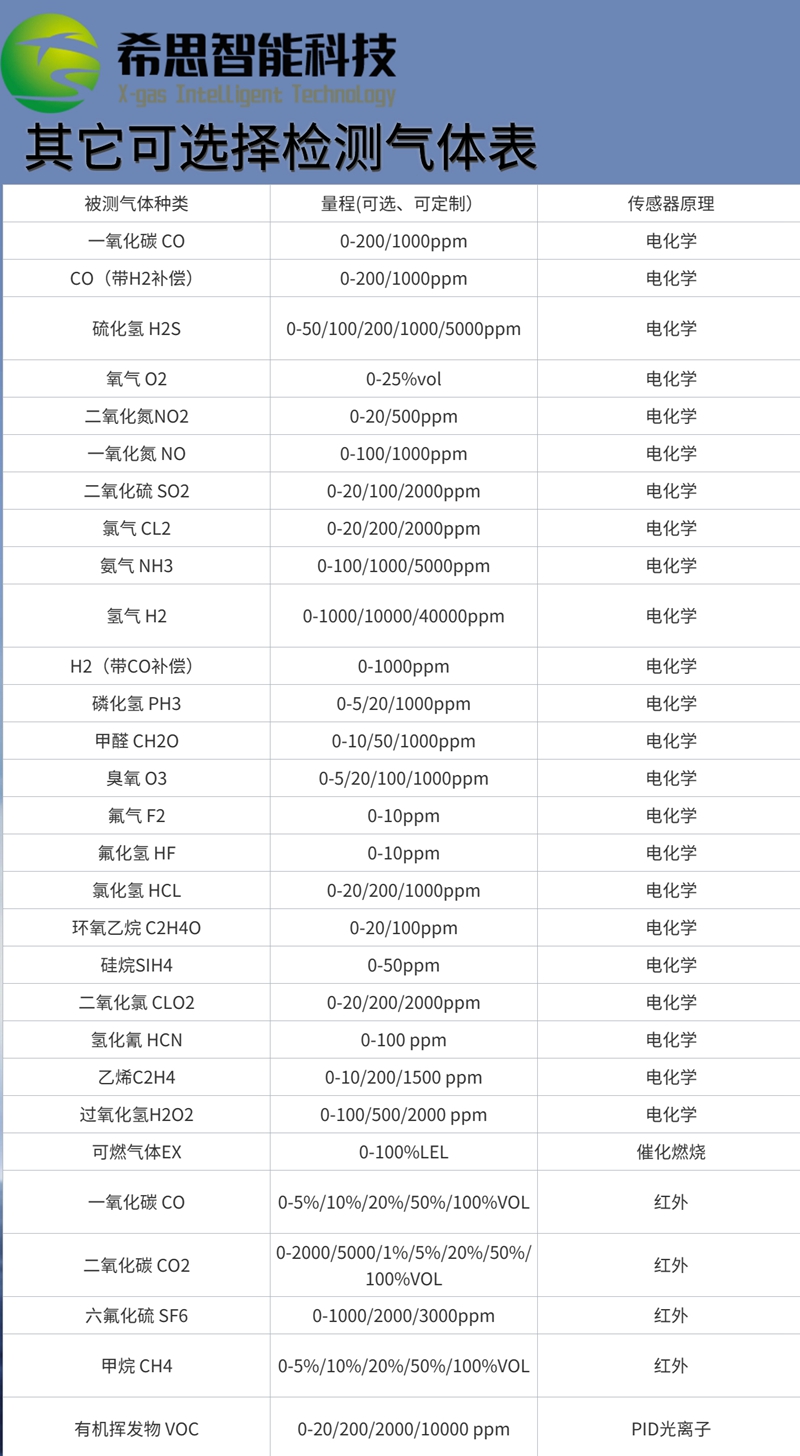 XS-2000可选气体表