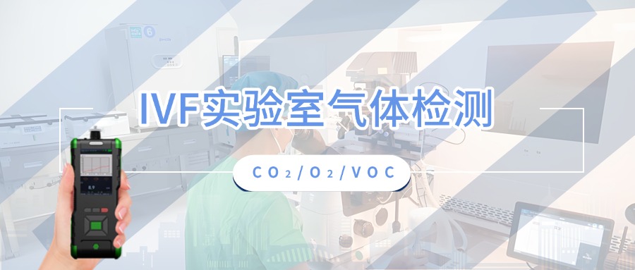 首图 (2)_20241203_17332112171675380