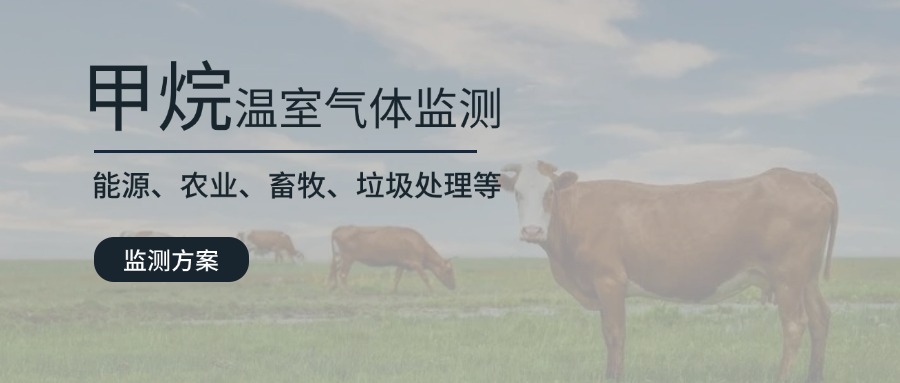 湖南省甲烷排放控制政策下的气体在线监测仪应用分析