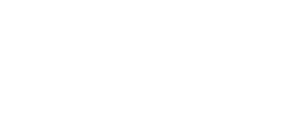 描述