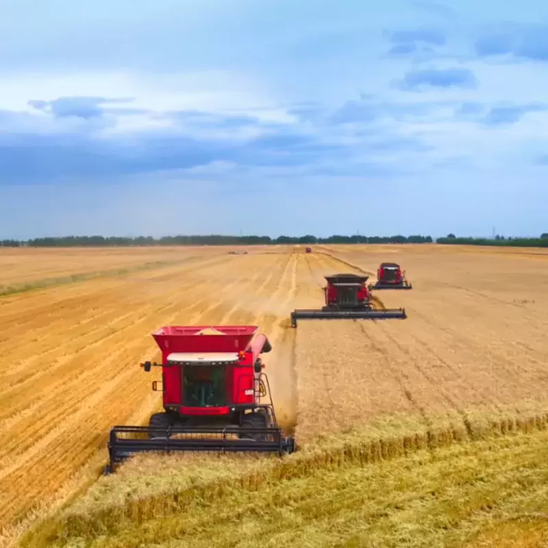 麦赛福格森T5联合收割机