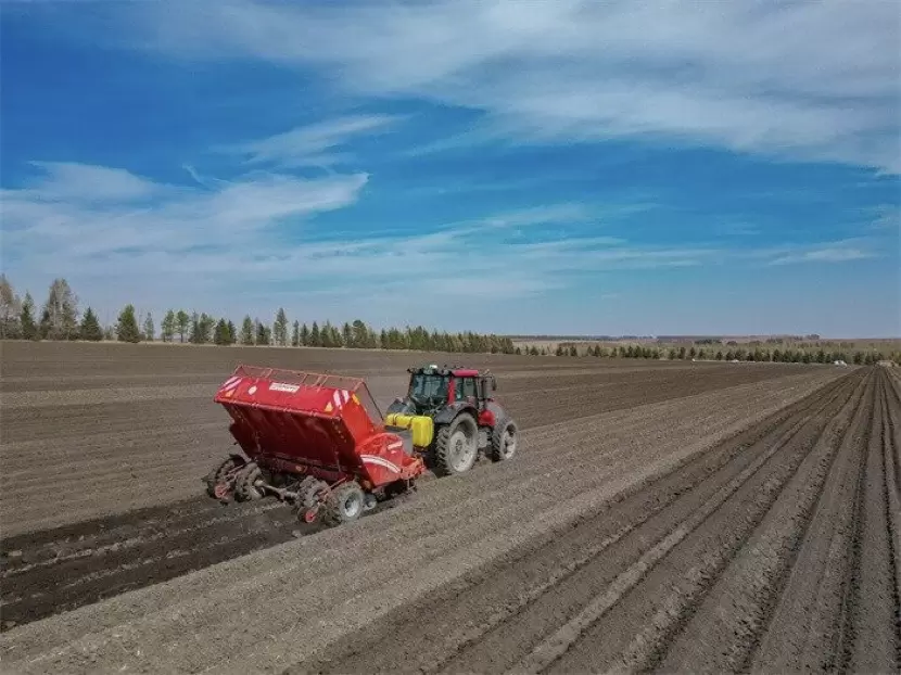 GL415马铃薯播种机