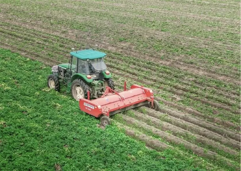 HT400马铃薯杀秧机