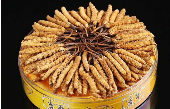 广州回收冬虫夏草