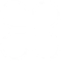 概念验证或原型开发阶段