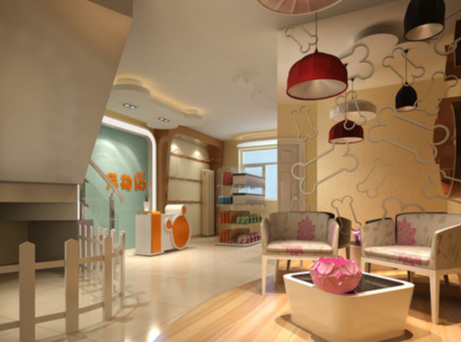 杭州专业宠物店装修设计,杭州宠物店装修哪家好,杭州专业宠物店装修公司,杭州首选宠物店装修行家公司,杭州宠物店装修设计