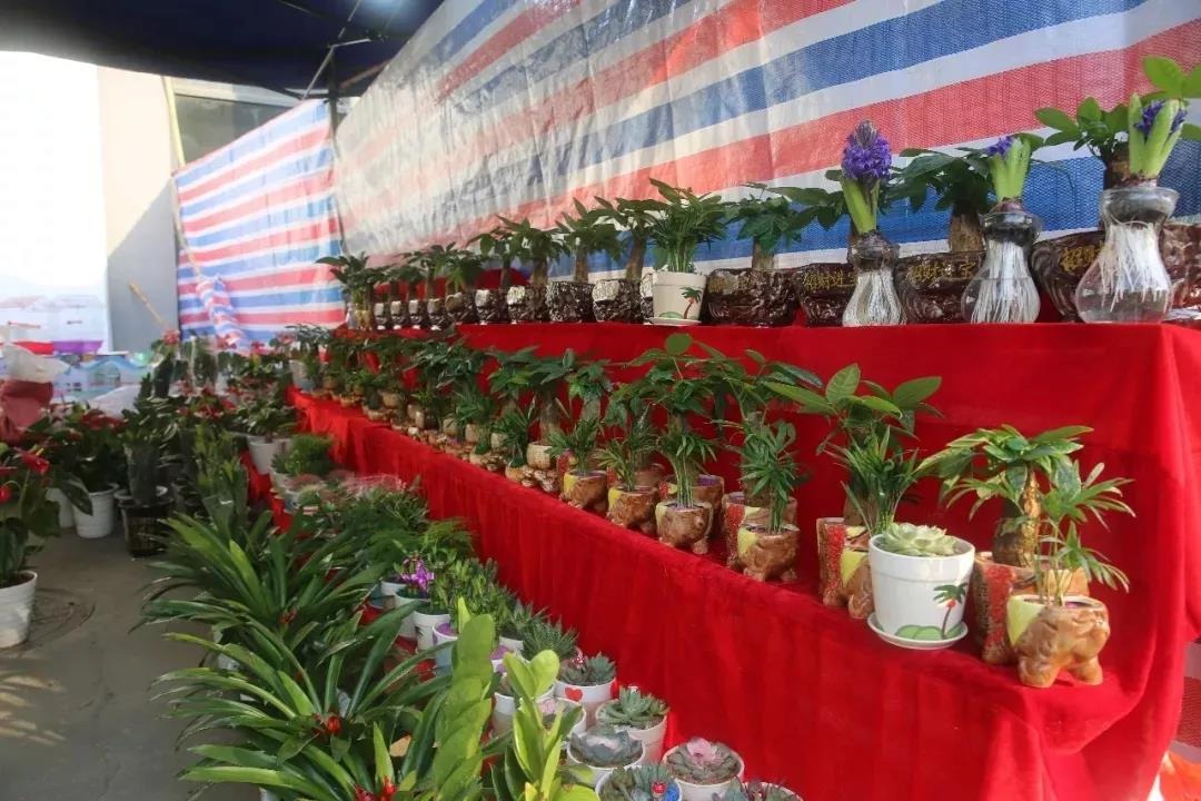 沙井街道迎花市,在中亚硅谷海岸举行