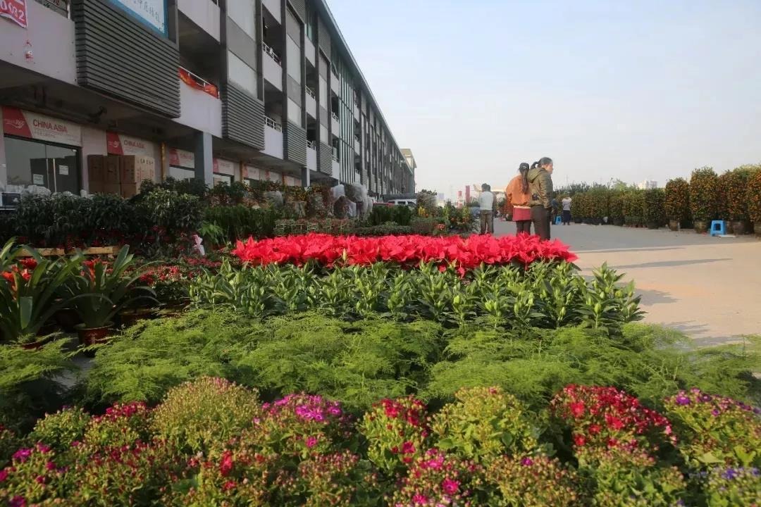 2020年沙井街道迎花市,在中亚硅谷海岸举行