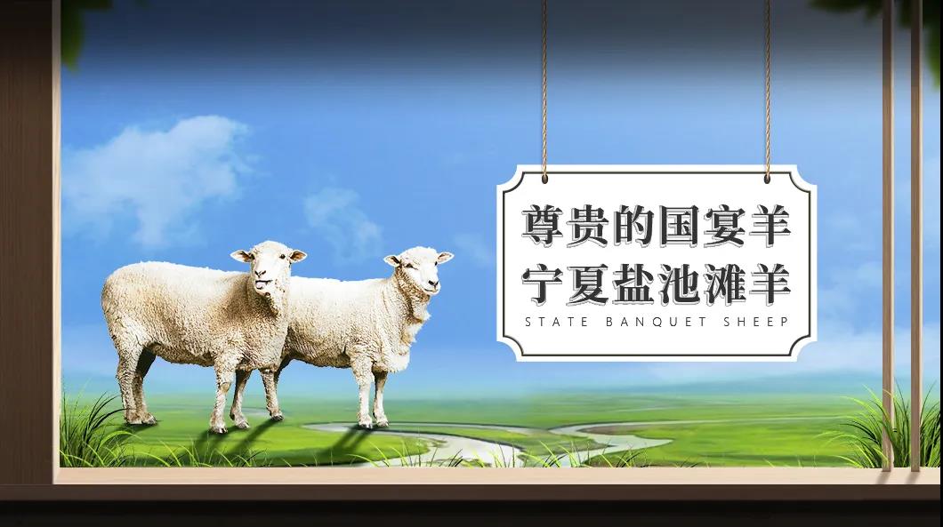 中亚千县优品新零售平台,促进县域农业产业化发展