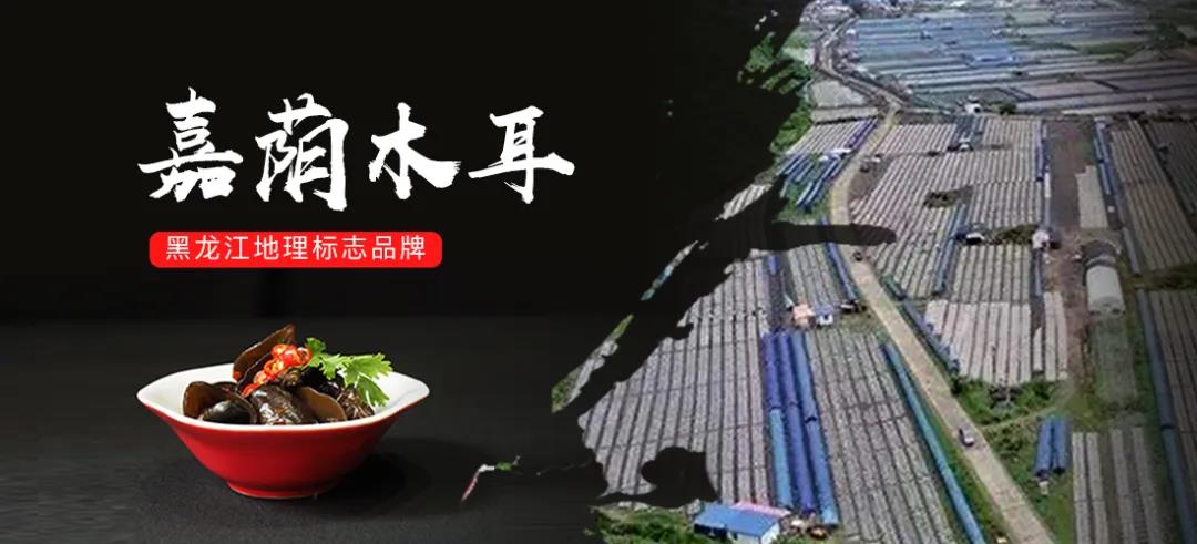 中亚千县优品新零售平台,促进县域农业产业化发展
