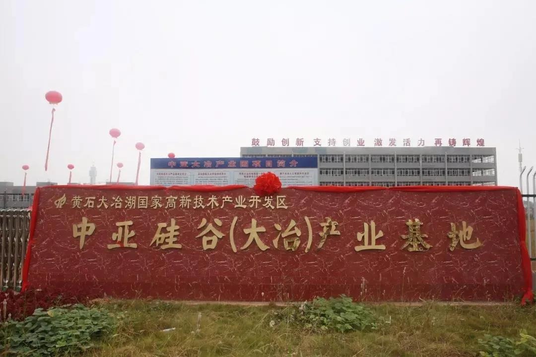 驰援湖北,中亚集团向湖北大冶政府捐赠防疫物资