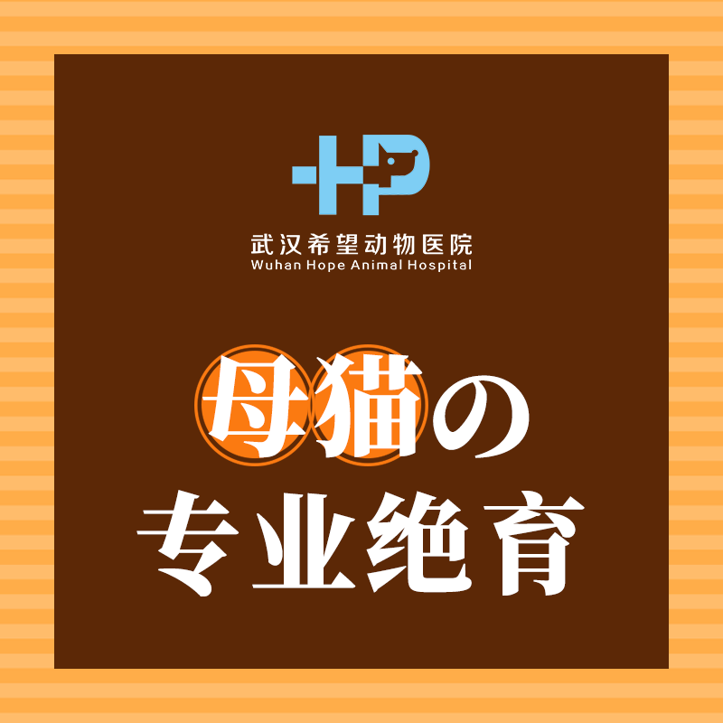 16117198689319c8820947586be3e