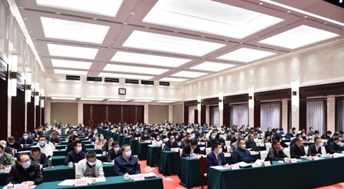 图片3