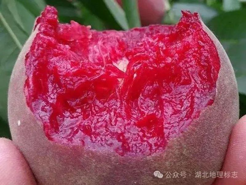 微信图片_20240702143406