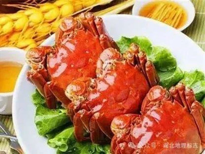 微信图片_20240702143438