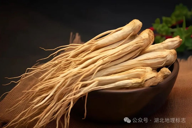 微信图片_20240709135041