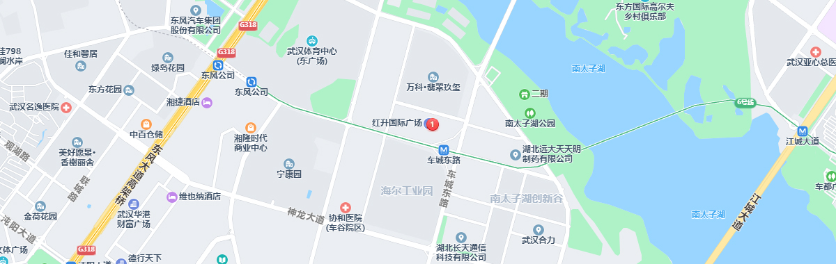 描述