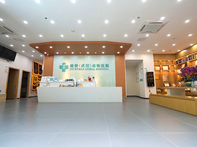 维特宠物医院
