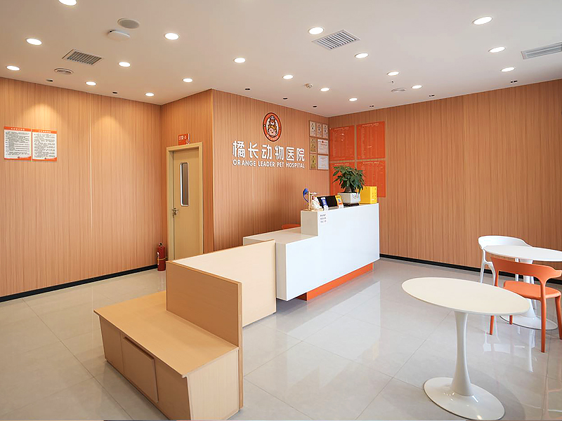 橘长动物医院
