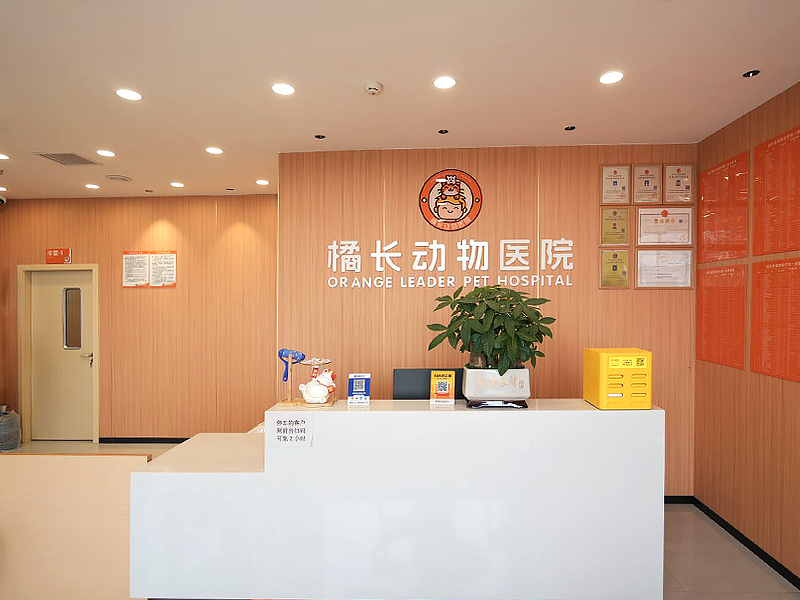 橘长动物医院